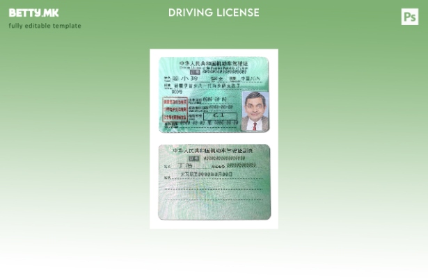 Модерен стил China DL шаблон